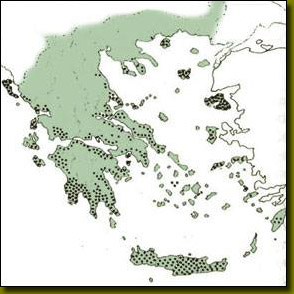 greek-oli-production